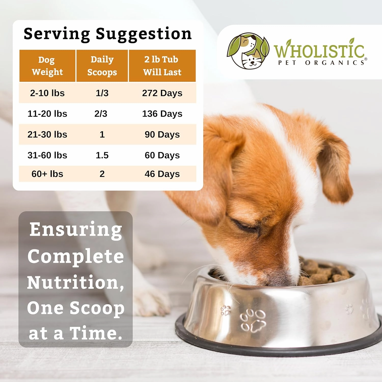 Wholistic Canine Complete with Organic Pumpkin for Dogs - 2 Lb - Dog Vitamins and Supplements with Pumpkin Powder for Digestion, Skin & Coat Health - Multivitamin for Dogs with Probiotics & Fiber