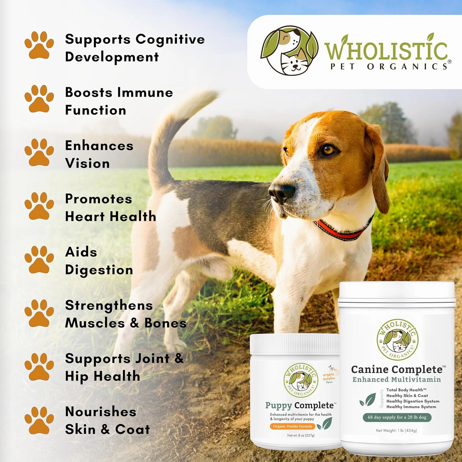 Wholistic Canine Complete with Organic Pumpkin for Dogs - 2 Lb - Dog Vitamins and Supplements with Pumpkin Powder for Digestion, Skin & Coat Health - Multivitamin for Dogs with Probiotics & Fiber