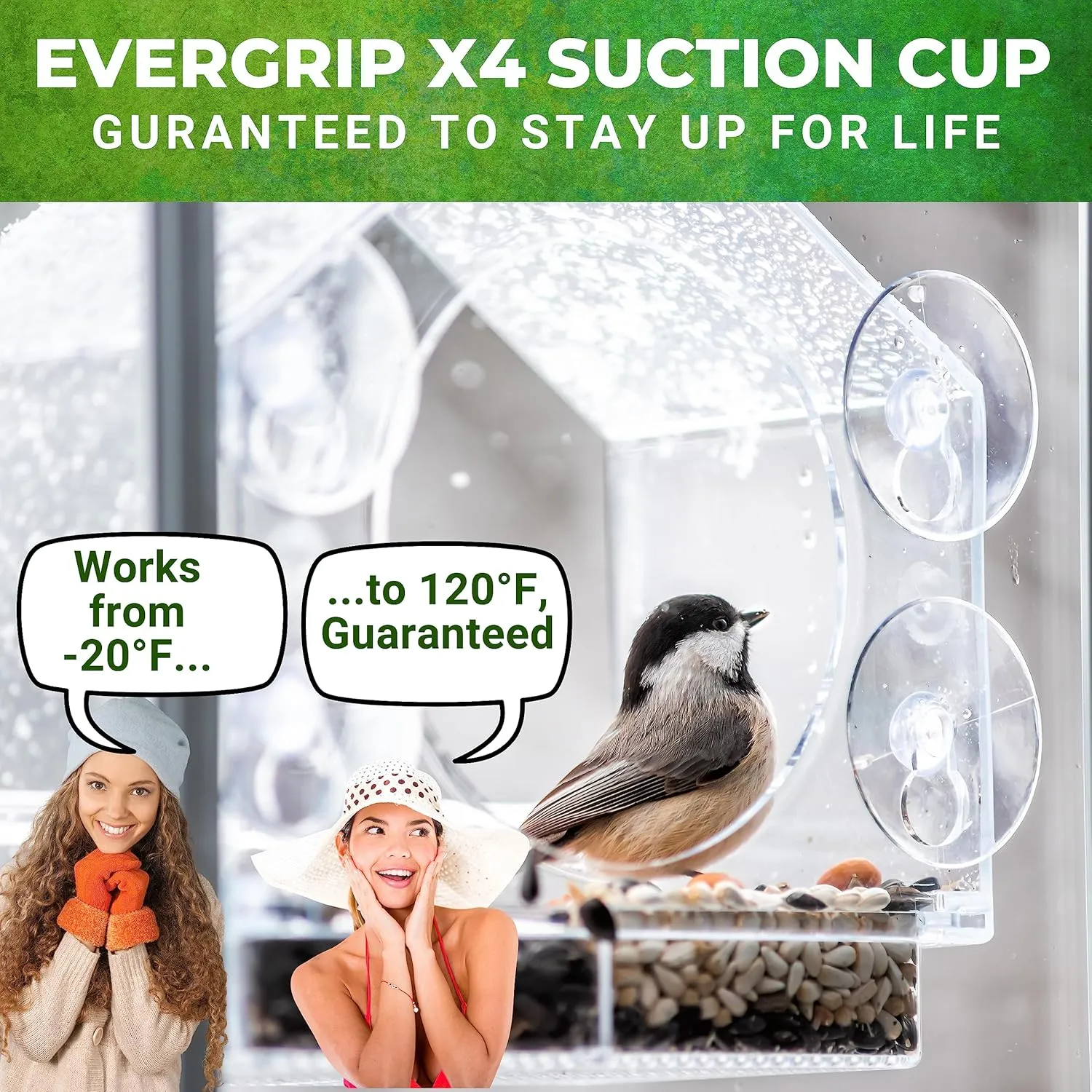 Window Bird Feeder by Nature Anywhere - Transparent Acrylic Bird Feeders for Outdoors - Enhanced Suction Grip, Bird Watching for Cats, Easy-to-Clean, Outdoor Birdhouse Feeder