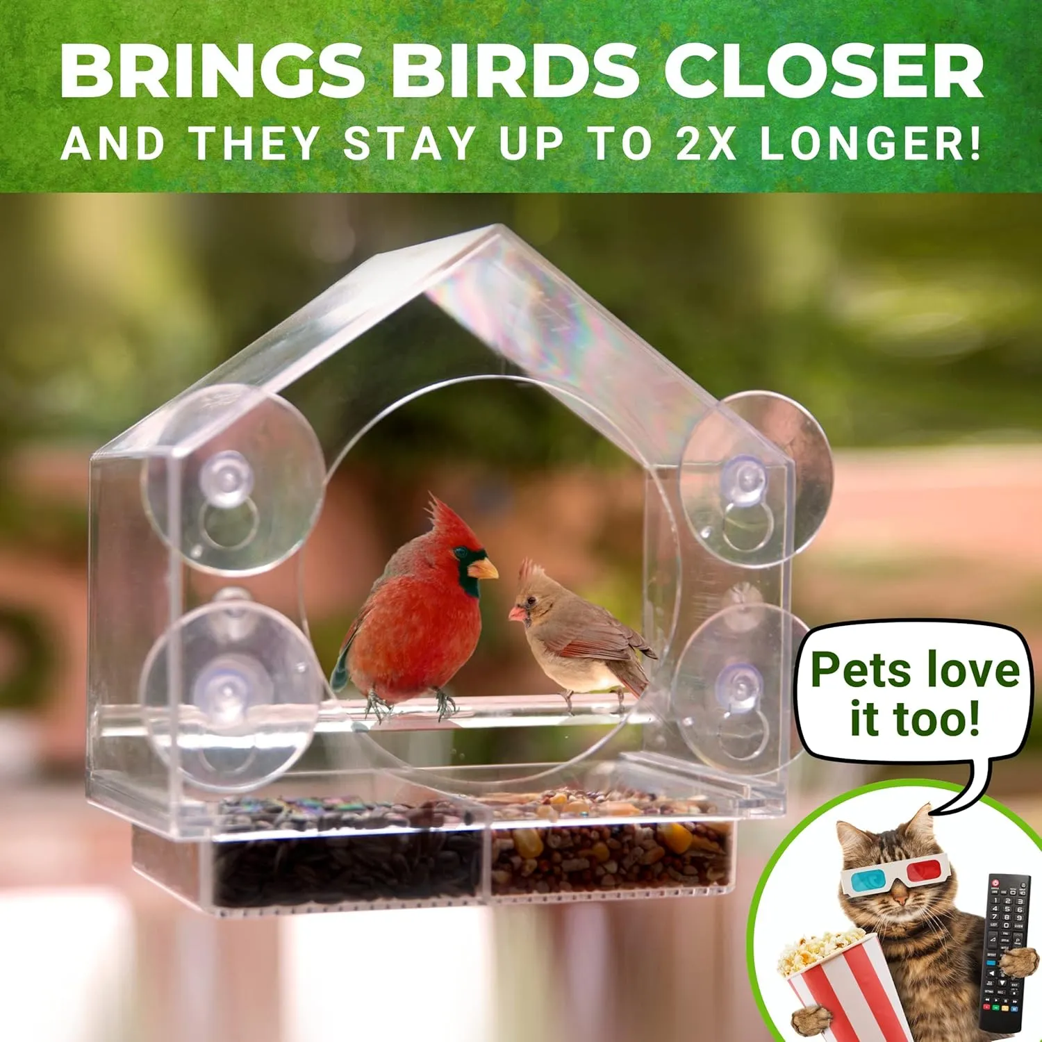 Window Bird Feeder by Nature Anywhere - Transparent Acrylic Bird Feeders for Outdoors - Enhanced Suction Grip, Bird Watching for Cats, Easy-to-Clean, Outdoor Birdhouse Feeder