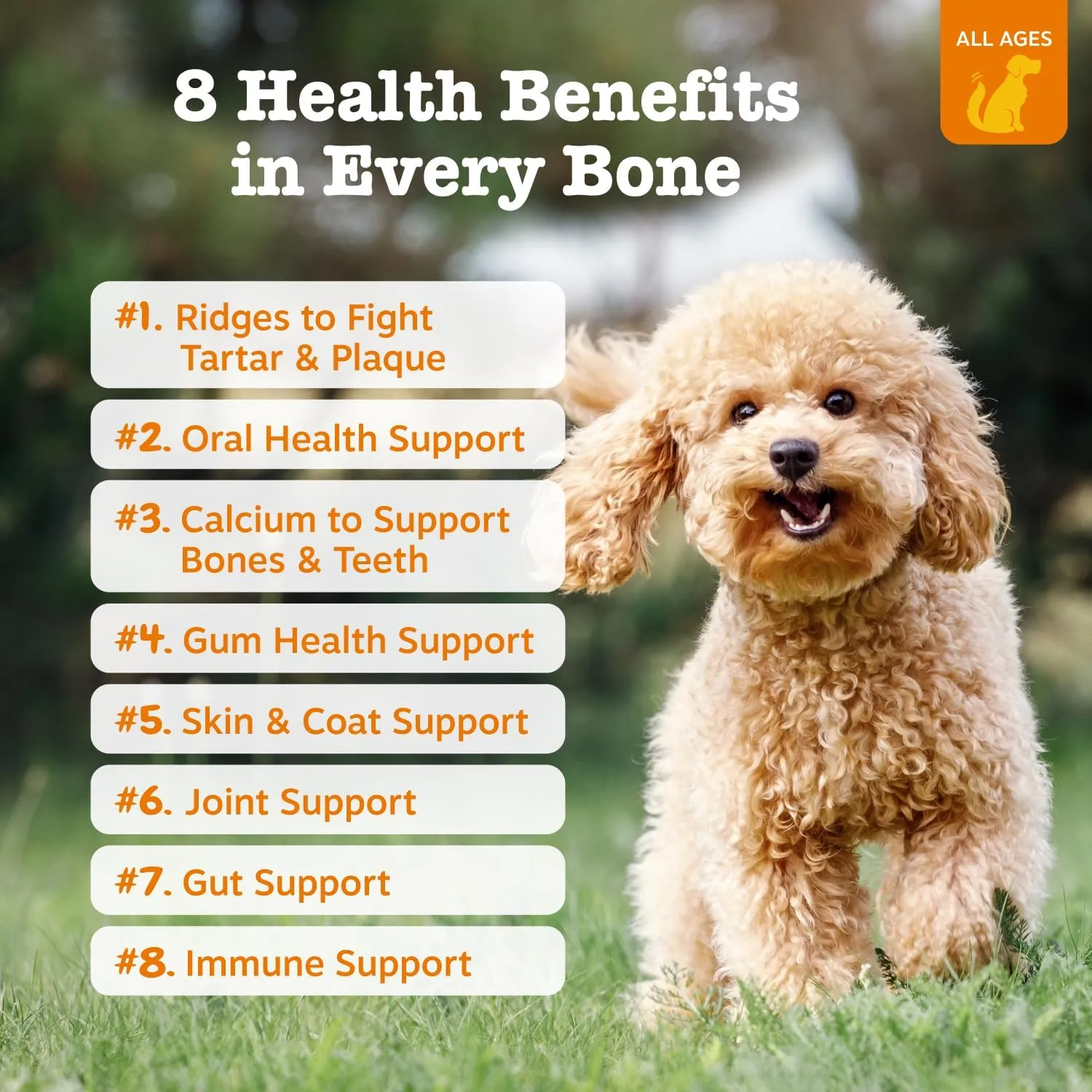 Zesty Paws Dental Bones - Fights Tartar & Plaque - Gum, Teeth & Bone Health - Cinnamon for Dog Breath - Immune, Joint, Gut, Skin & Coat Support - Omega 3 EPA & DHA and Calcium - Small Dogs - 28 ct…