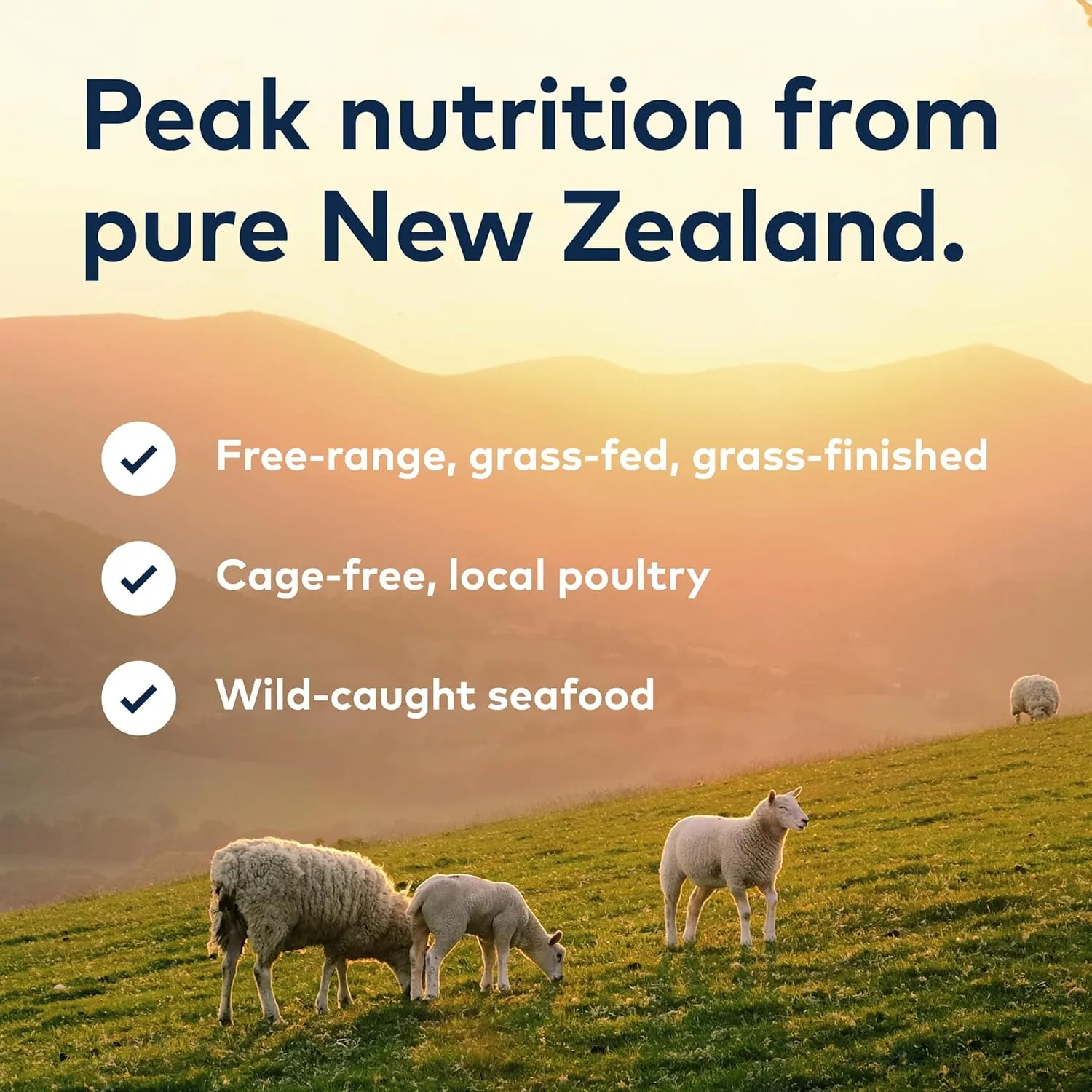 ZIWI Peak Steam & Dried Cat Food – Beef w/Southern Blue Whiting Fish - High Protein, Skin & Coat Health, Low Carb, for All Life Stages (28.8oz)